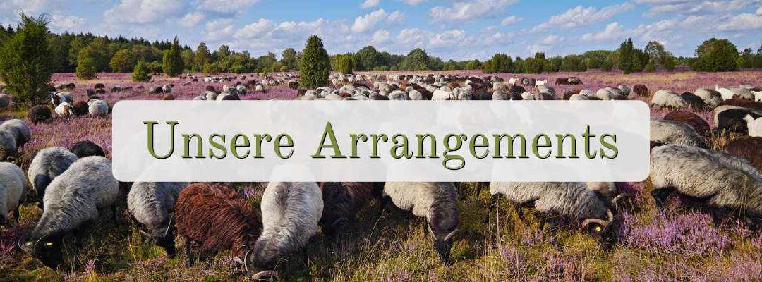 Arrangement – Komfort-Doppelzimmer zum Sparpreis